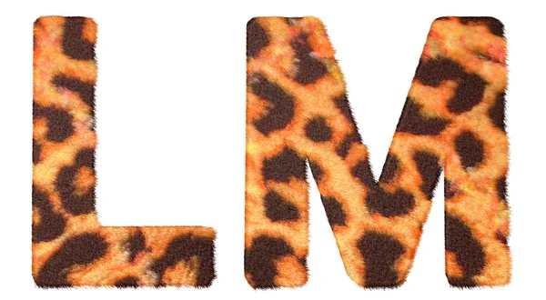 Luipaard bont l en m letters geïsoleerd — Stockfoto