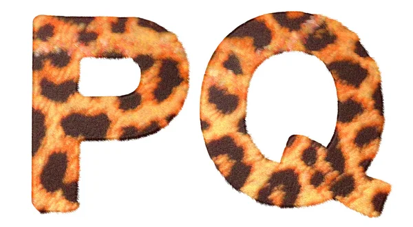 孤立的豹纹毛皮 p 和 q 字母 — 图库照片