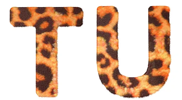 Lettres T et U en fourrure de léopard isolées — Photo