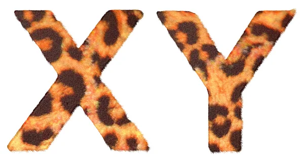Futro Leopard x i y listów na białym tle — Zdjęcie stockowe