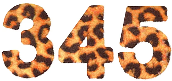 Leopard skin 3 4 och 5 siffror isolerade — Stockfoto