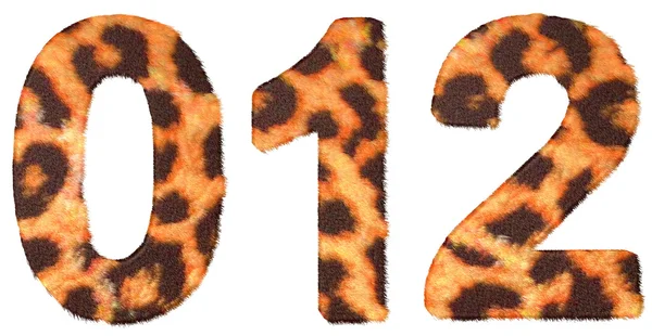 Leopard huden noll, 1 och 2 siffror ioslated — Stockfoto