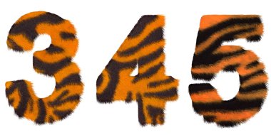 Tiger fell 3 4 and 5 figures isolated clipart