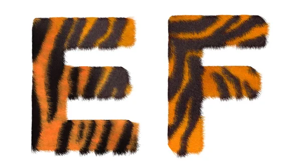 Tigre caiu E e F letras isoladas — Fotografia de Stock