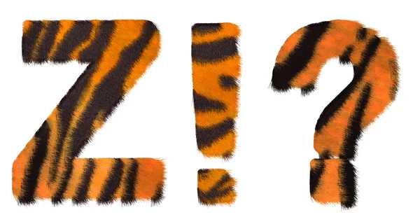 Tiger fell font Z and Wow What symbols — Stock Photo, Image