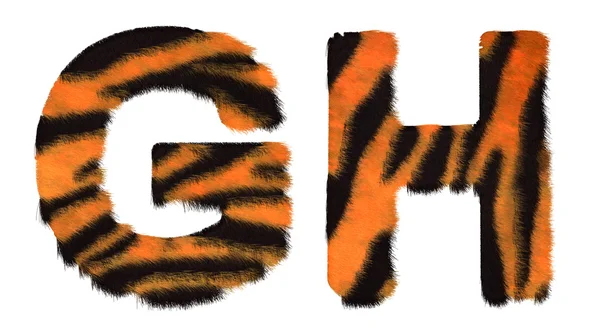 Tiger fell G and H letters isolated — Stock Photo, Image