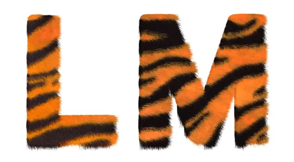 Tiger fell L and M letters isolated — Stock Photo, Image