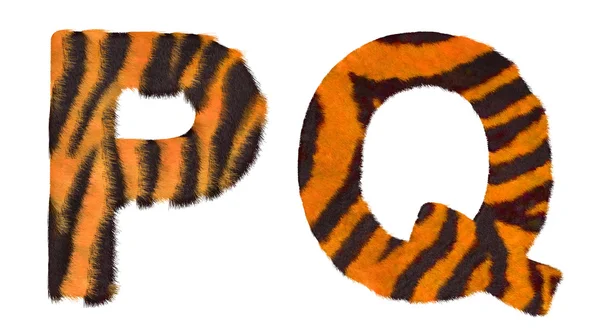 Tiger fell P and Q letters isolated — Stock Photo, Image