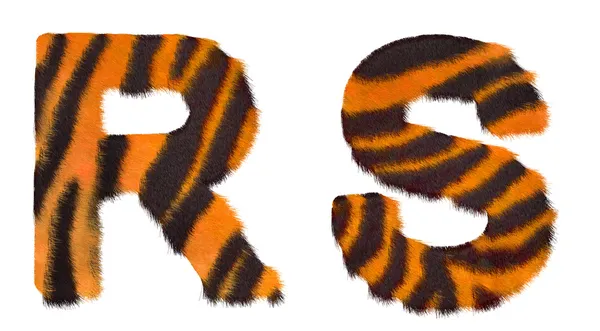 Tiger fell R and S letters isolated — Stock Photo, Image