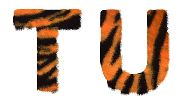 Tigre tombé lettres T et U isolé — Photo