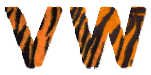 Tigre tombé lettres W et V isolé — Photo