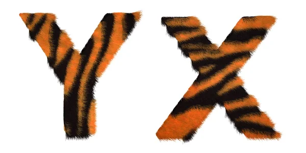 Tigre tombé lettres X et Y isolé — Photo