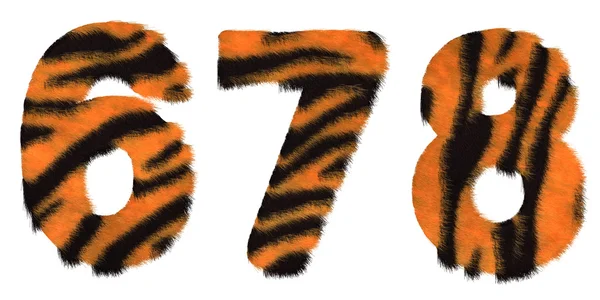 Тигр упал 6 7 и 8 фигур изолированы — стоковое фото