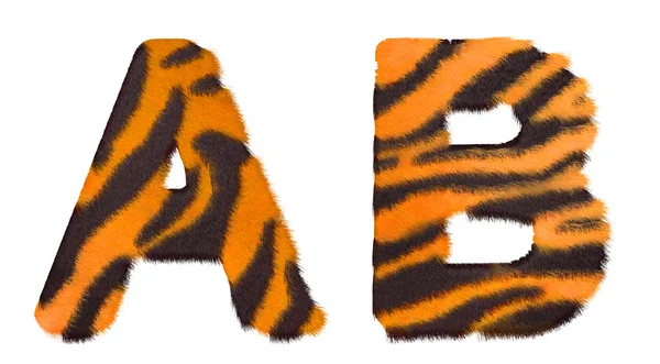 Tiger fell A and B letters isolated — Stock Photo, Image