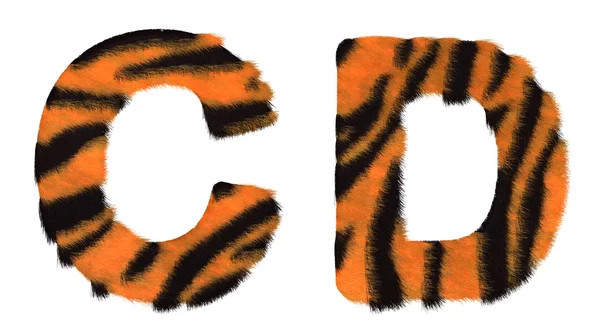Tigre caiu letras C e D isoladas — Fotografia de Stock