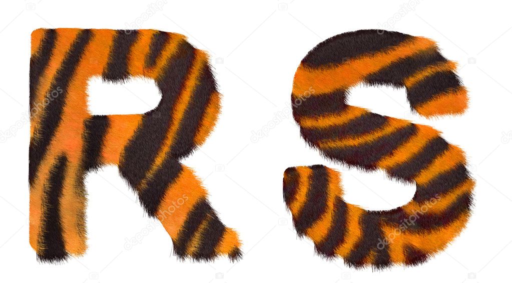Tiger fell R and S letters isolated