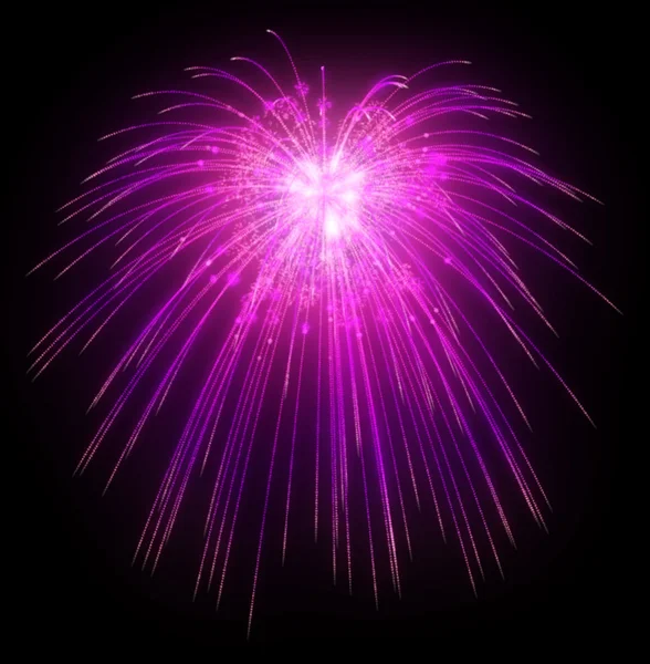 Feestelijke Lila vuurwerk 's nachts — Stockfoto