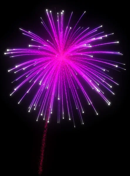 Fuegos artificiales púrpuras festivos por la noche — Foto de Stock
