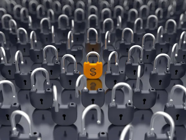 stock image Money and currency security - locked padlock