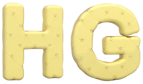 Πολυτελή μαλακό δέρμα γραμματοσειρά γράμματα h g — Φωτογραφία Αρχείου
