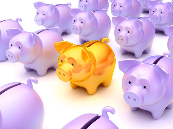 Escolha certa: Golden Piggy Bank — Fotografia de Stock
