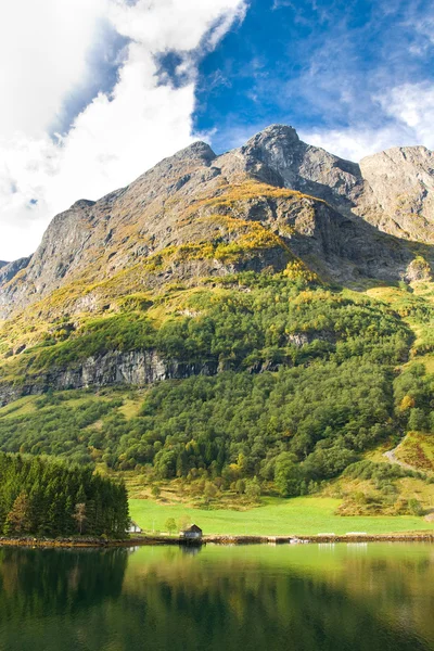 Норвежский фьорд: Горы, дом в деревне — стоковое фото