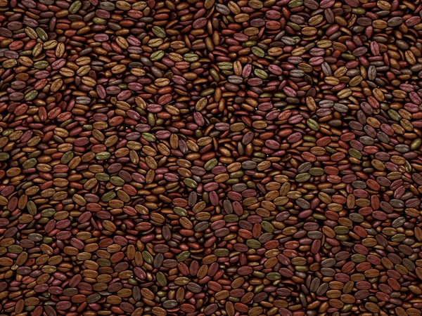 Texture ou arrière-plan des grains de café non triés — Photo