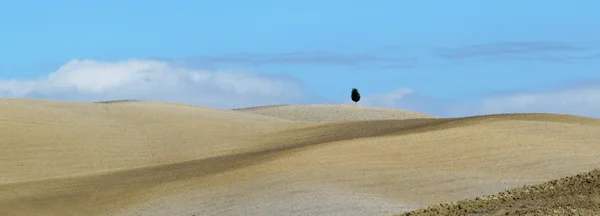 Paisagem típica da Toscana com árvores e colinas em panorama — Fotografia de Stock