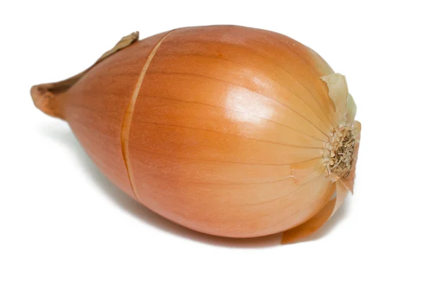 stock image Onions