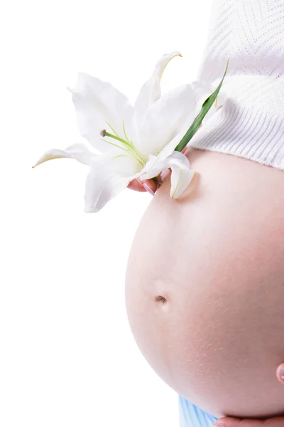 Estomac des femmes enceintes — Photo
