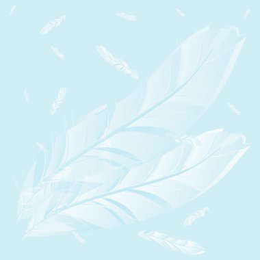 Feathers on dark blue background clipart