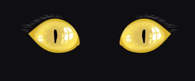 Cat eyes clipart