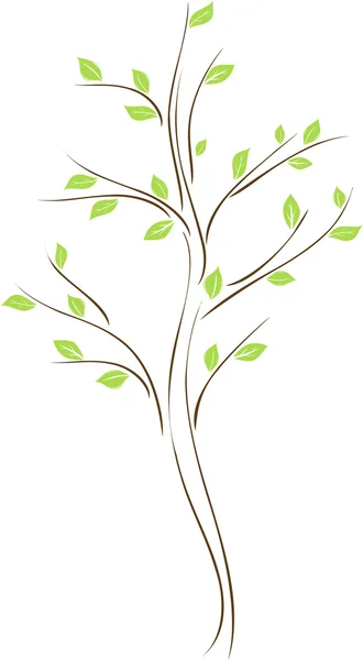 Árbol con hojas verdes — Vector de stock