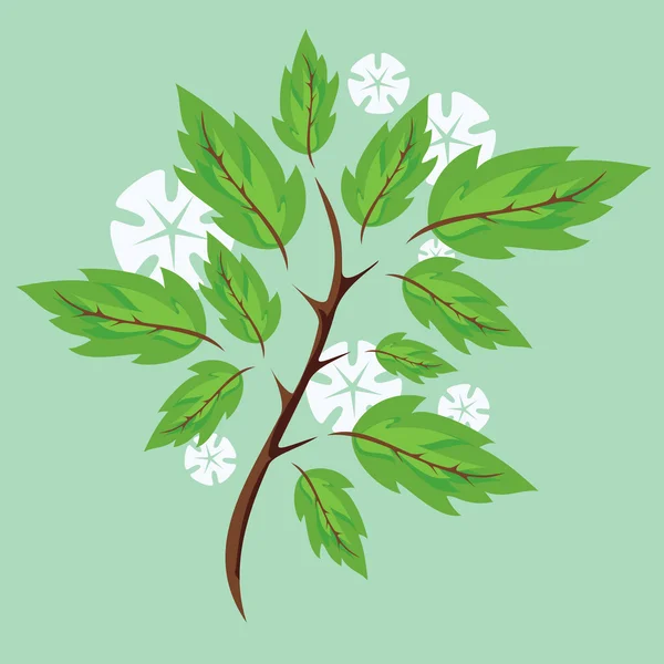 Frühjahrsblühender Zweig — Stockvektor