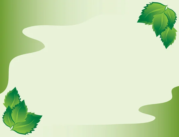 Telaio con foglie di betulla — Vettoriale Stock