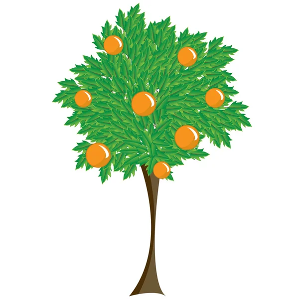 Árbol con fruta — Vector de stock