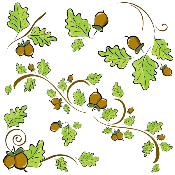Rami di quercia per decorazione — Vettoriale Stock