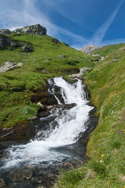 Petit ruisseau alpin — Photo