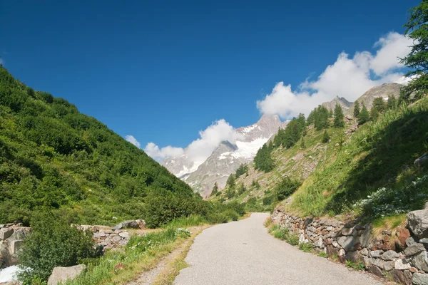 Alpine weg — Stockfoto