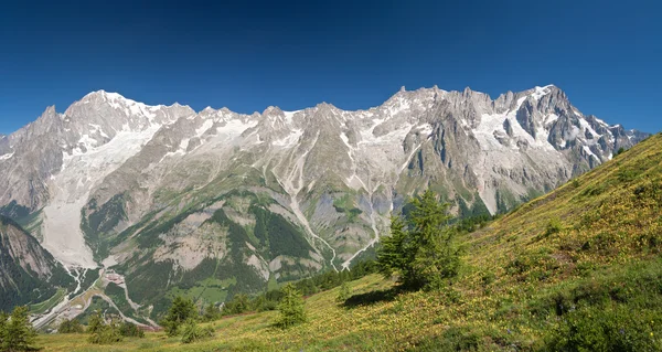 Mont Blanc massif panorama — Stock Photo, Image