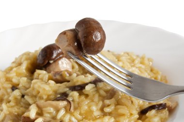 boletus mantarlı risotto