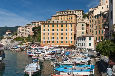 Camogli küçük bağlantı noktası