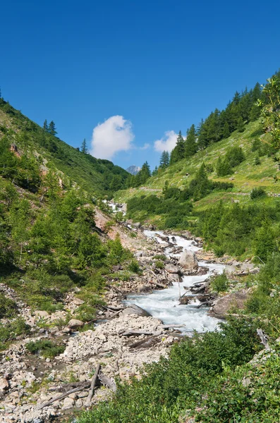 Ruisseau Dora, Vallée de Veny — Photo