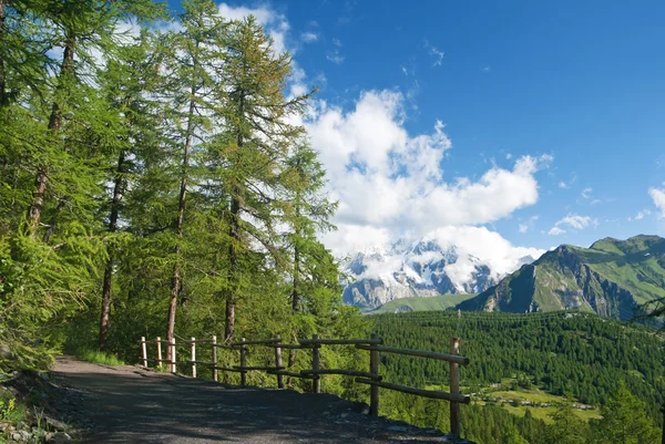 意大利阿尔卑斯山中的路径 — 图库照片