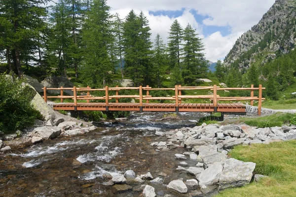 Alpine stream — Stock Photo, Image