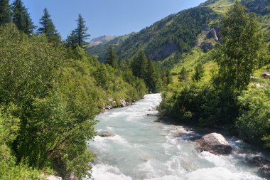 Akış gelincik Vadisi üzerinde yaz courmayeur, İtalya