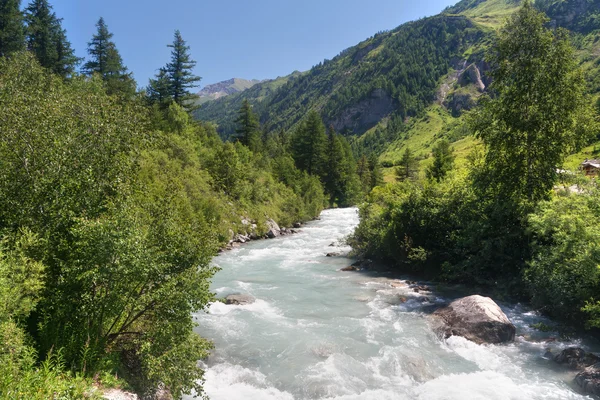 Stream Ferret Valley Summer Courmayeur Italy — Stock Photo, Image