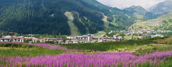 Panoramicr Kilátás Thule Nyári Kis Város Aosta Völgyben Olaszország — Stock Fotó