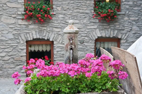 Geranium Flowers Public Fountain Verrand Courmayeur Italy — Stock Photo, Image