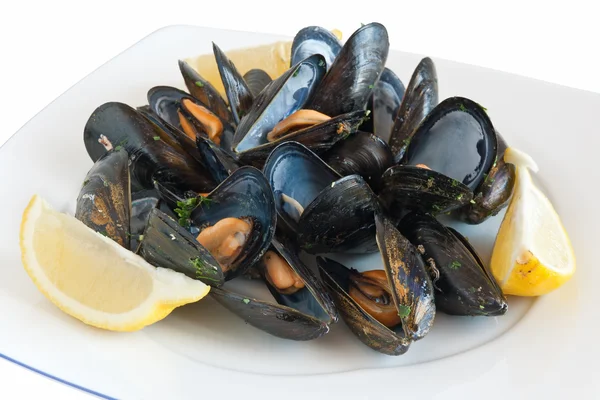 Dish with mussels — Stock Photo, Image